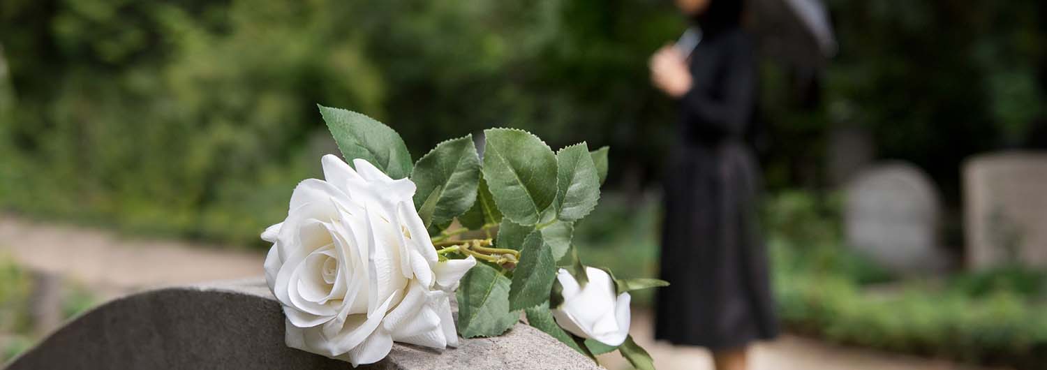White memorial roses with a cemetery in the background